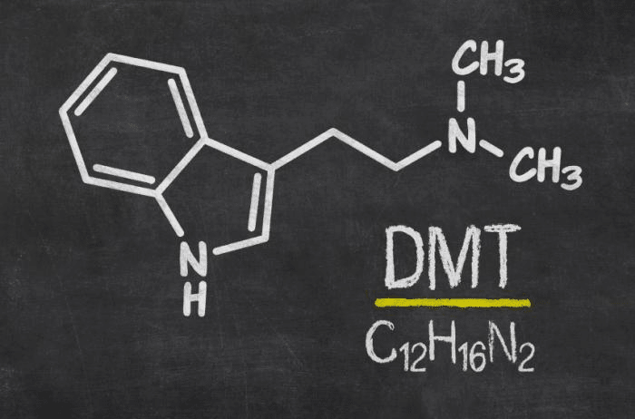 Halucinogen DMT