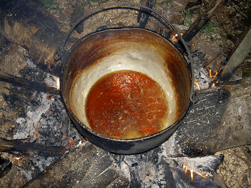 ayahuasca účinky