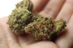 Kush: Cesta z asijských hor do světových jointů 2