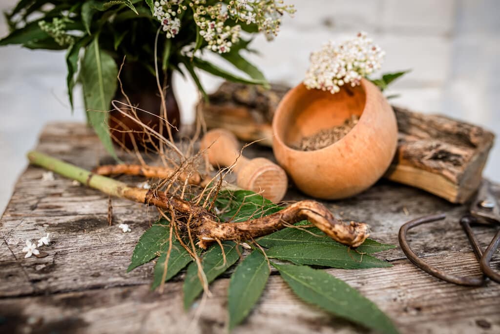 Ashwagandha Gymbeam: Je opravdu silná? 1