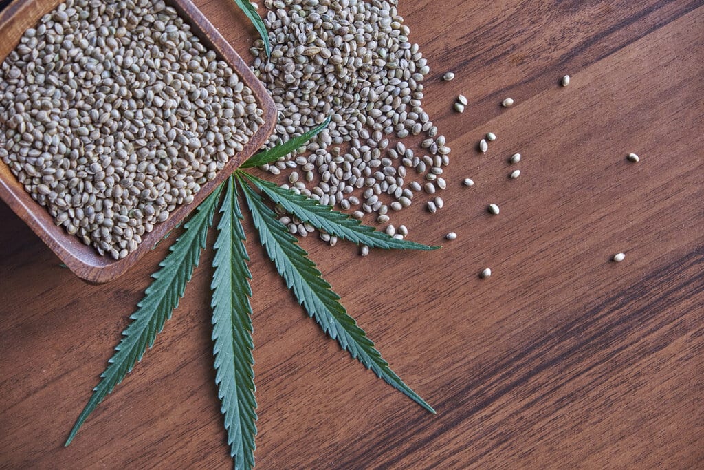Seeds