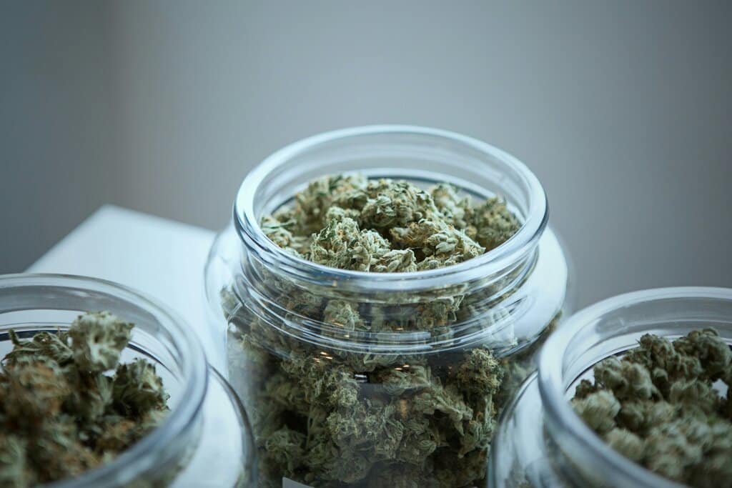 Legalizace konopí v ČR: nový zákon a co se změnilo 3
