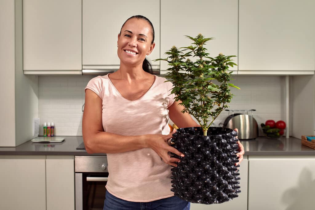 Rozdíly mezi indoor, outdoor a greenhouse pěstováním konopí: Jak, kde a kdy pěstovat konopí 3