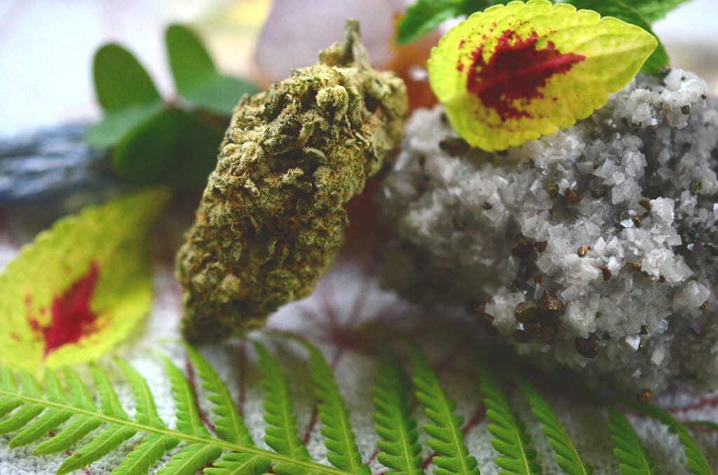 terpeny