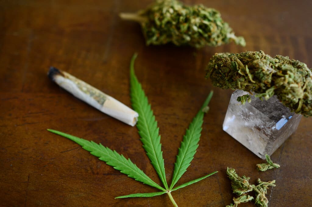 Biohacking a konopí: Jak využít maximální potenciál těla 4